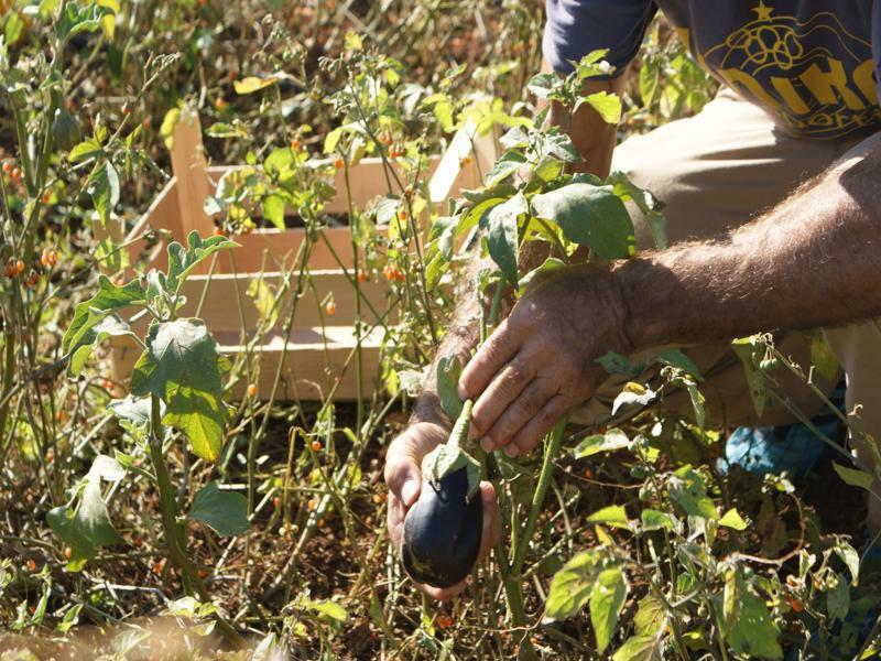 Masseria Chiancone Torricella Μαρτίνα Φράνκα Εξωτερικό φωτογραφία